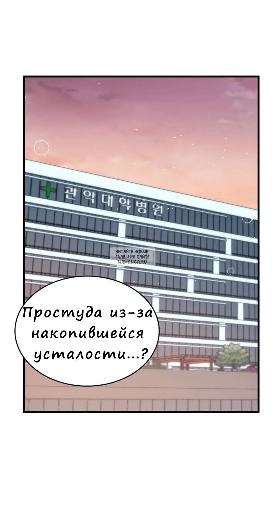 Page 51.000
