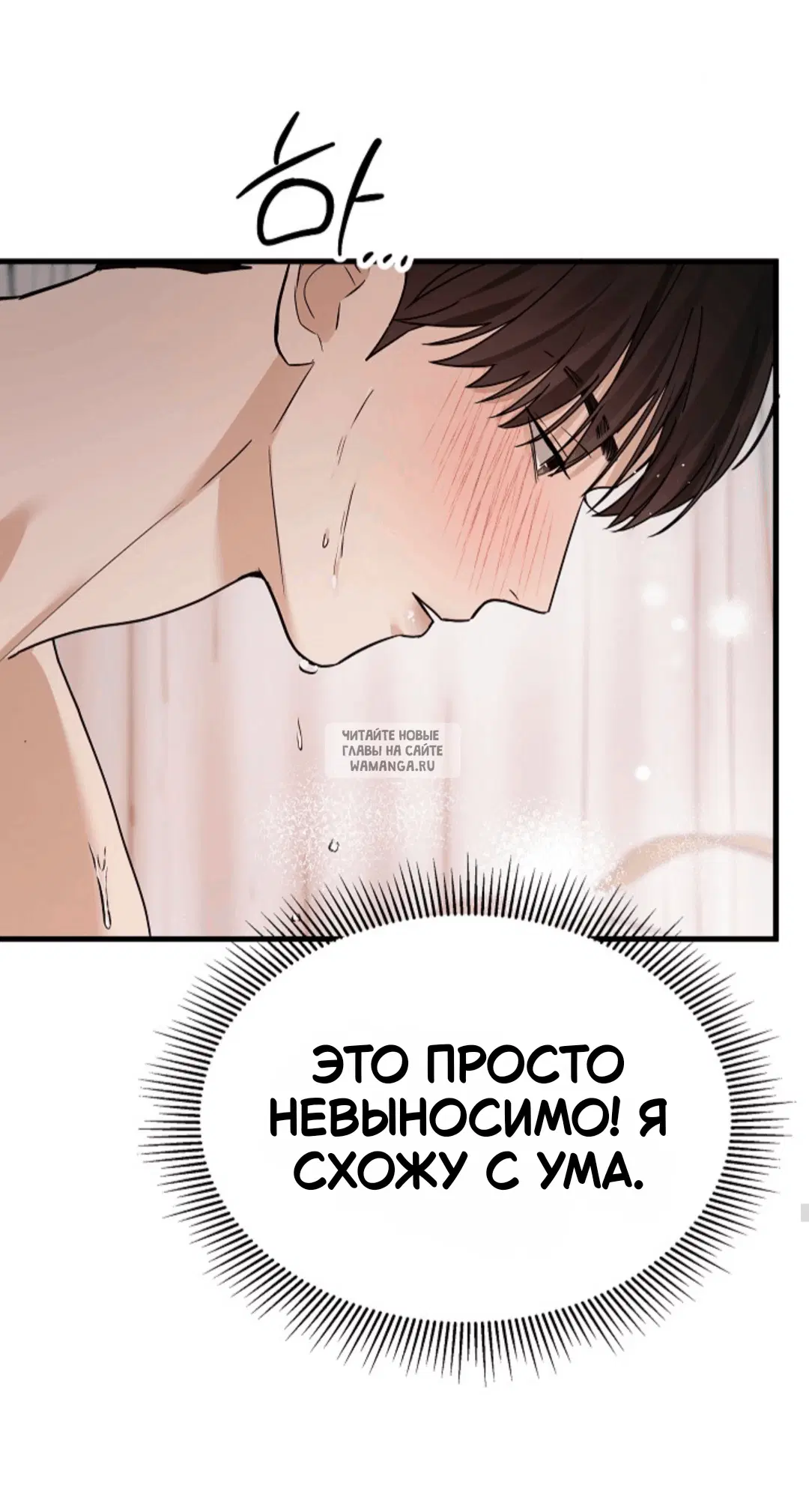 Page 51.000