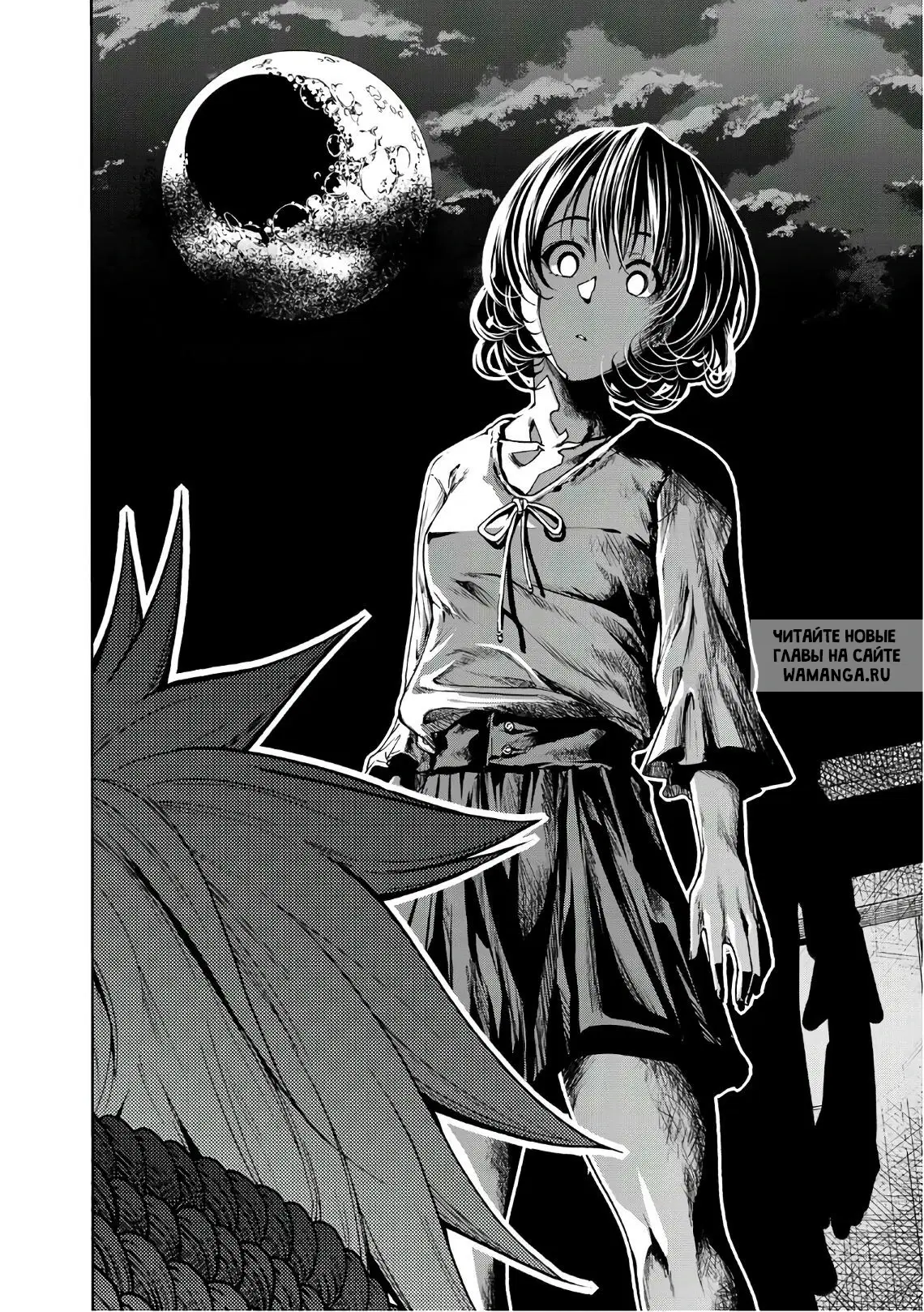 Page 24.000