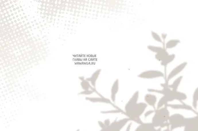 Page 37.000