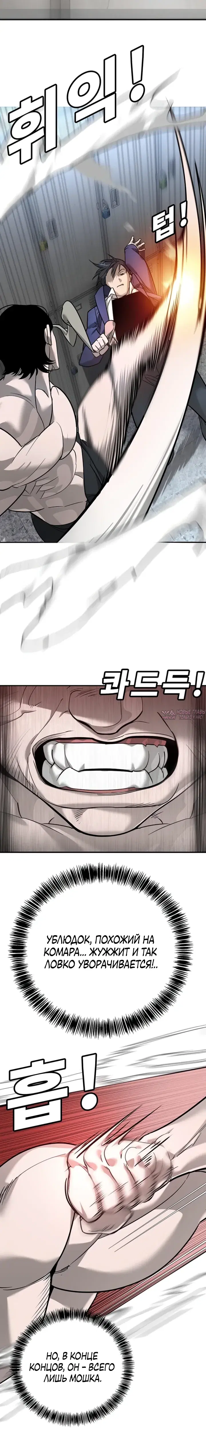 Page 5.000