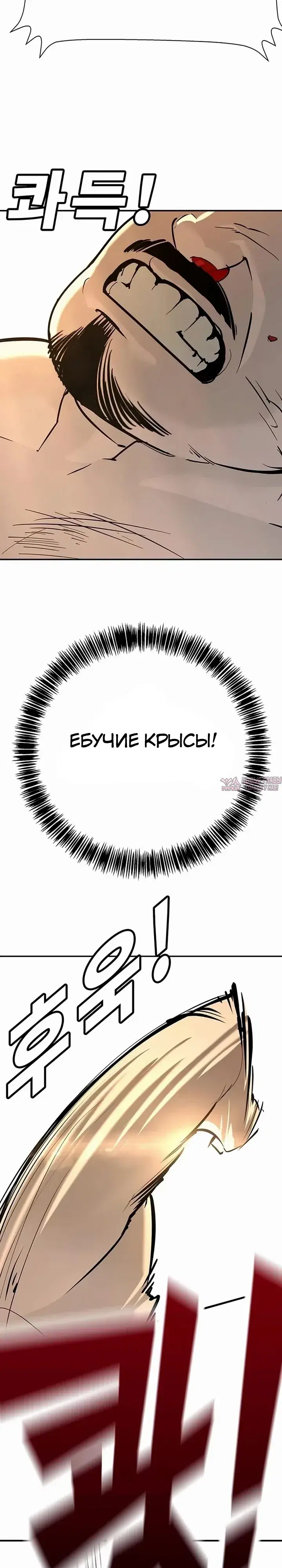 Page 49.000