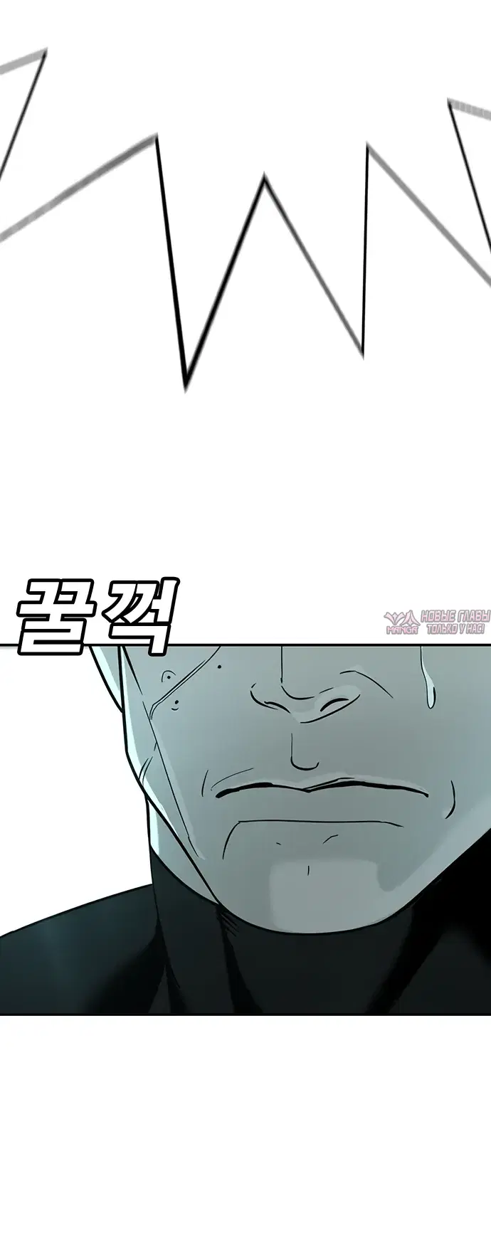 Page 41.000