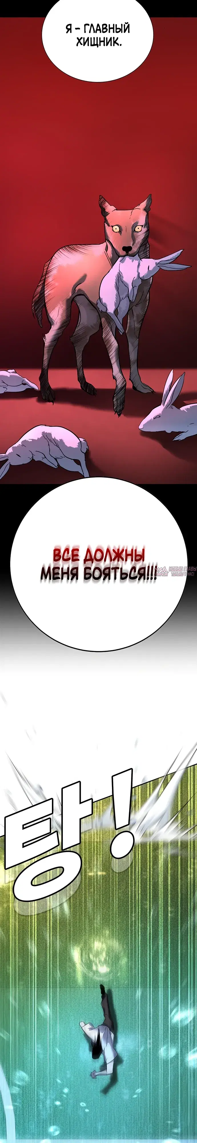 Page 41.000