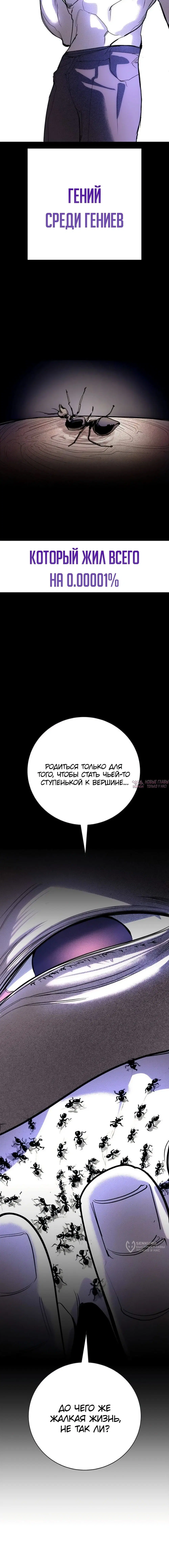 «Завоевание», глава 58, страница 5.000000000