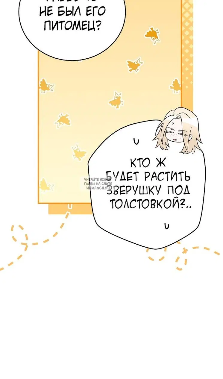 Page 50.000