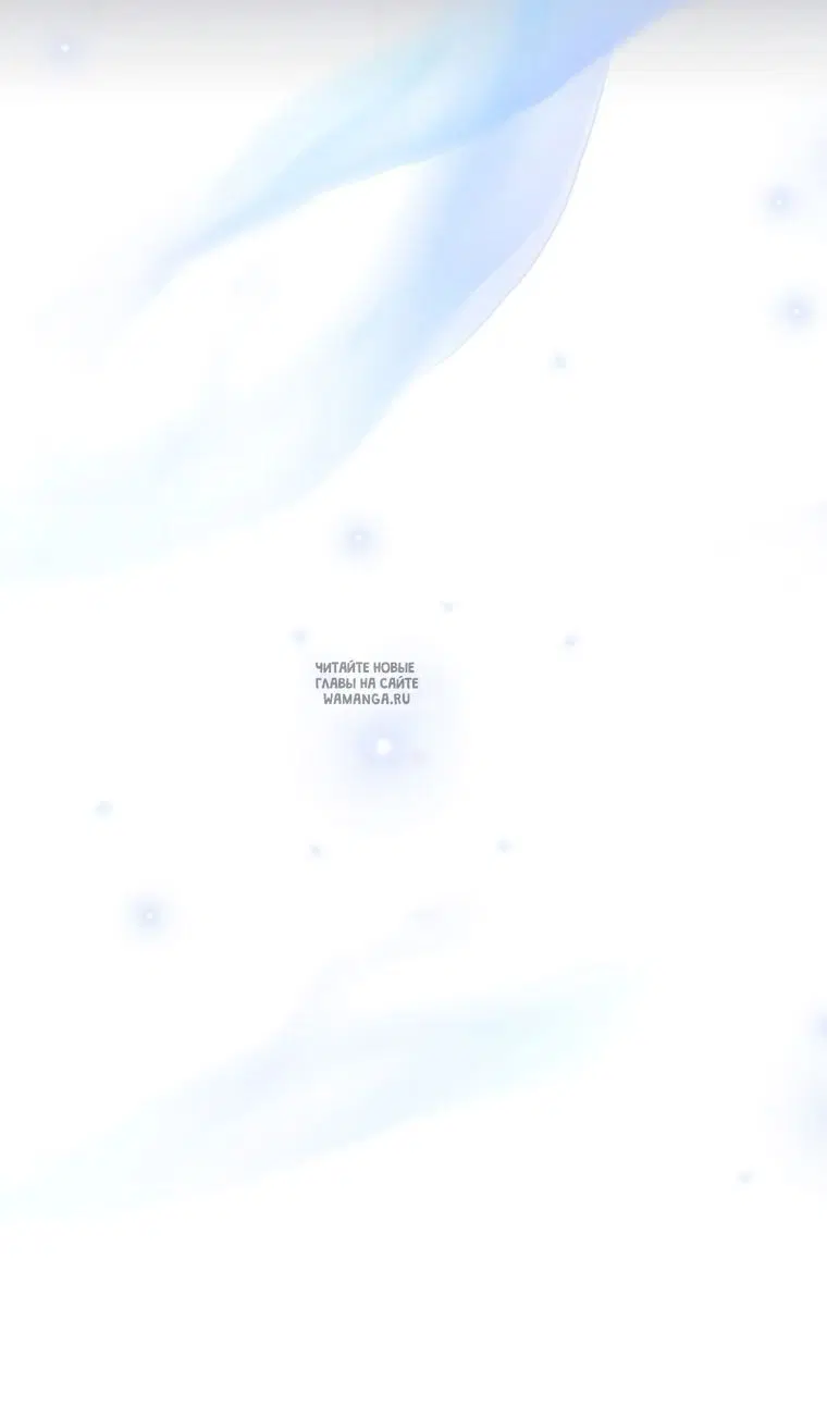 Page 51.000