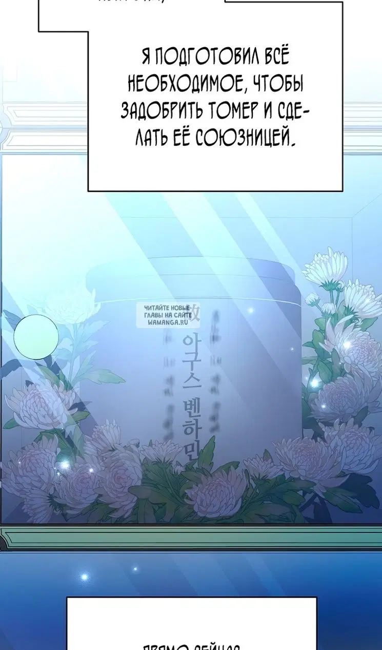 Page 81.000