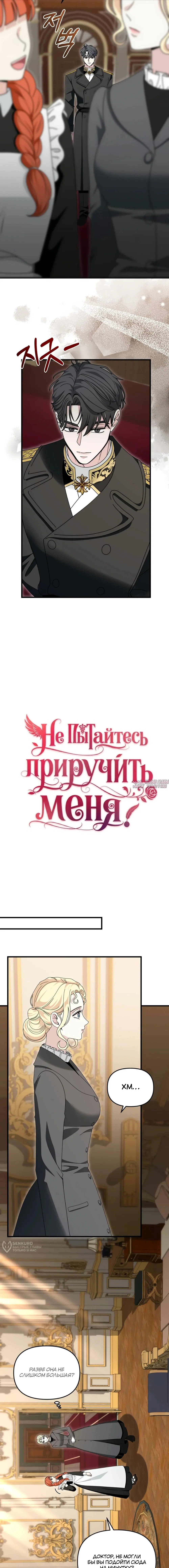 «Не пытайтесь приручить меня», глава 12, страница 5.000000000