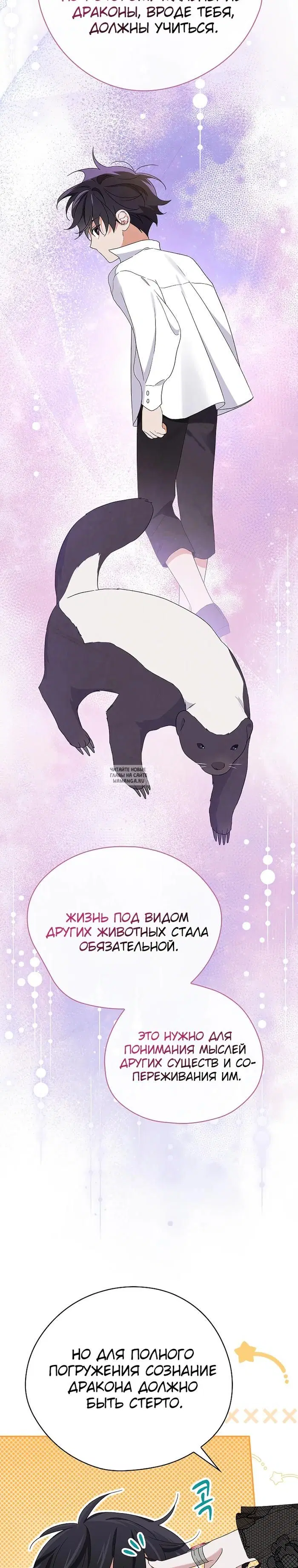 Page 20.000