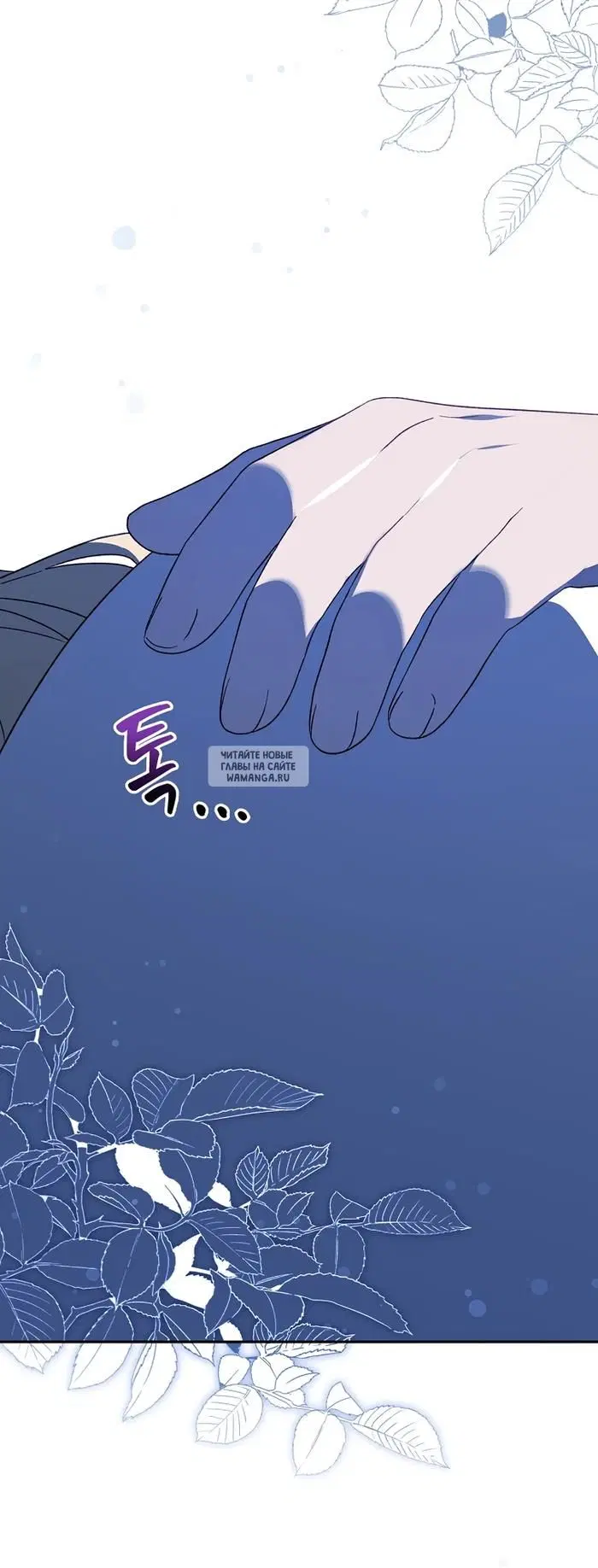 Page 43.000