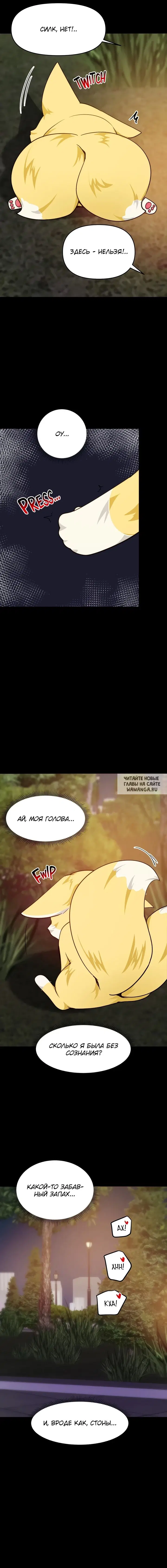 Page 17.000