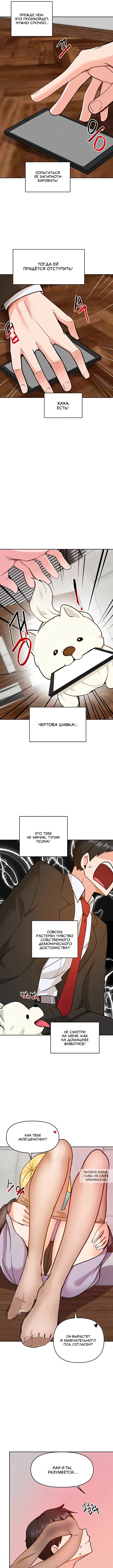 Page 7.000