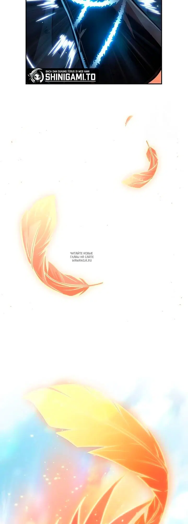 Page 55.000