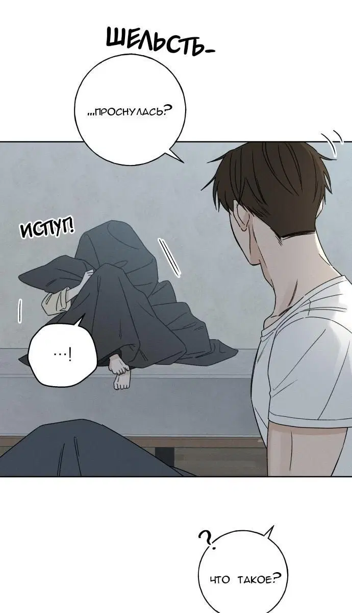 Page 10.001
