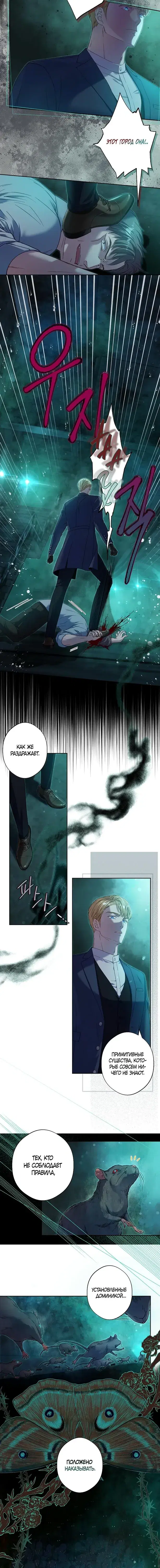 Page 3.001