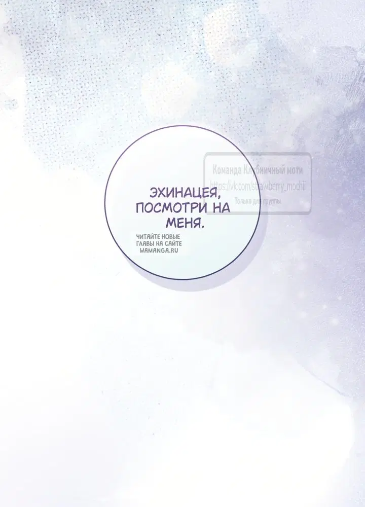 Page 39.000