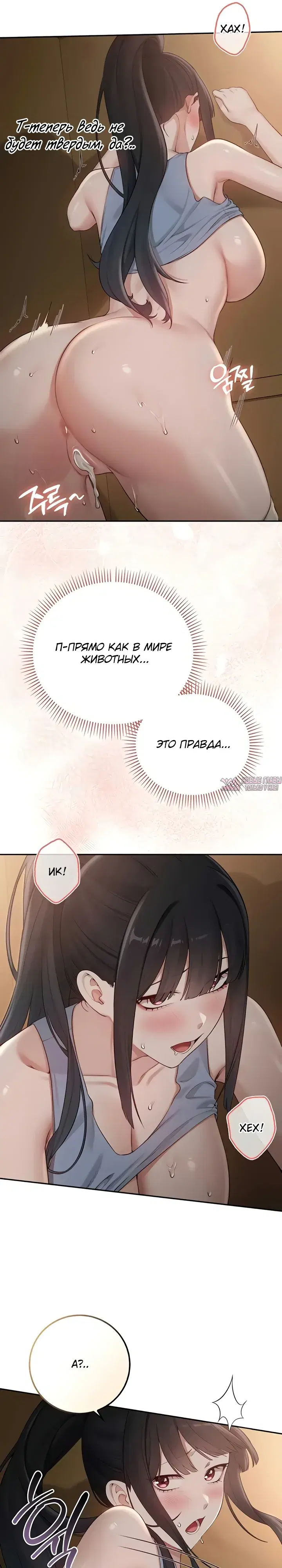 Page 31.000