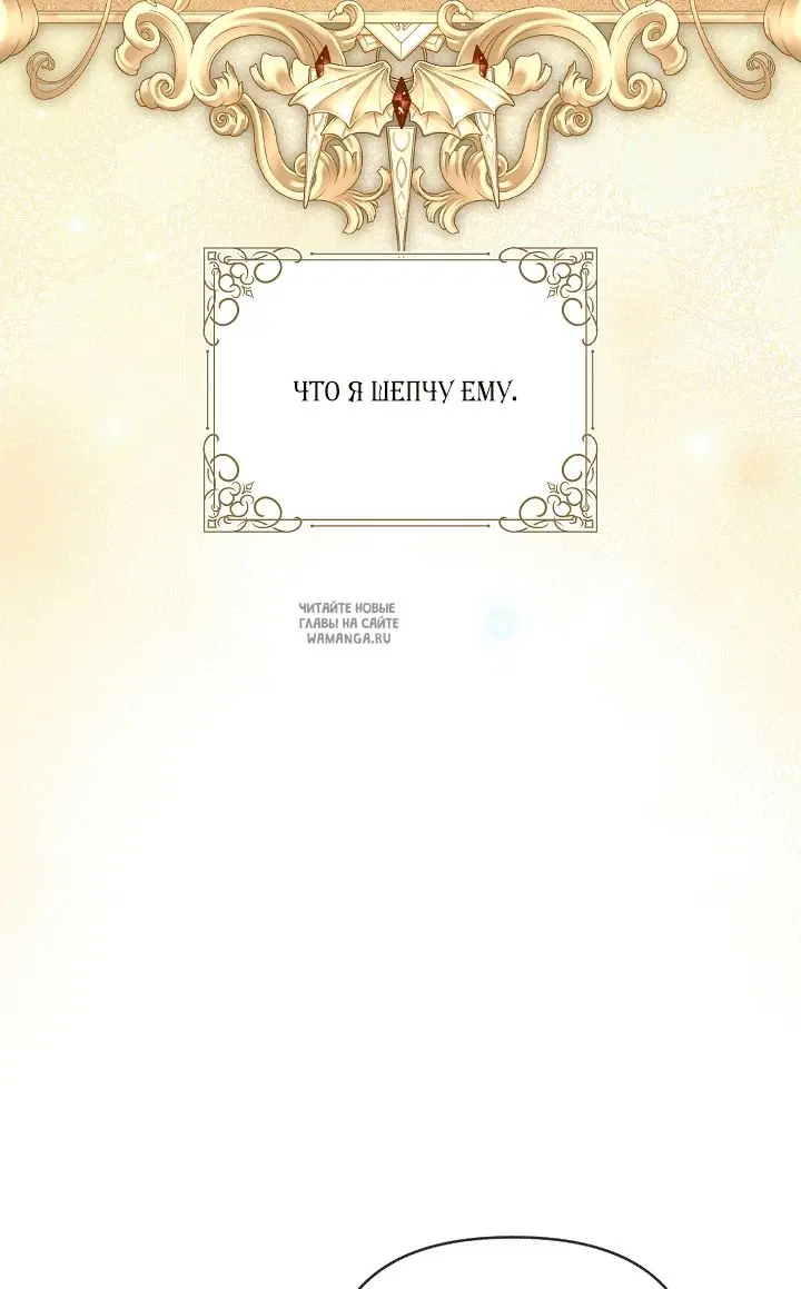 Page 50.000