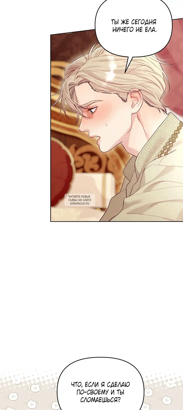 Page 51.000