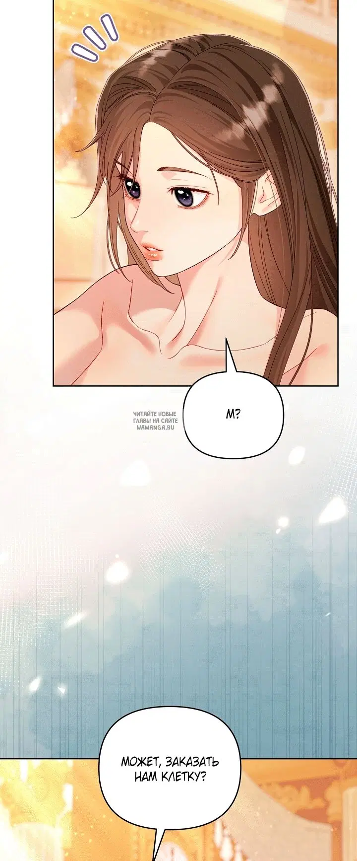 Page 65.000