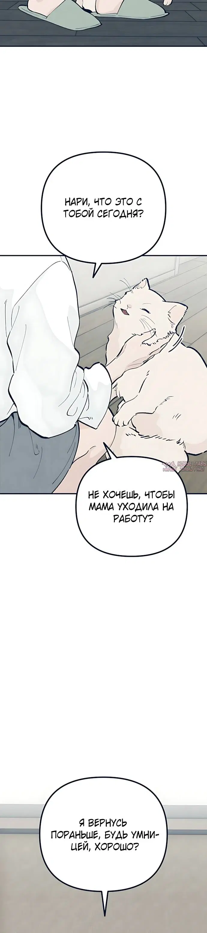 «Провалы Каннама», глава 2, страница 5.000000000