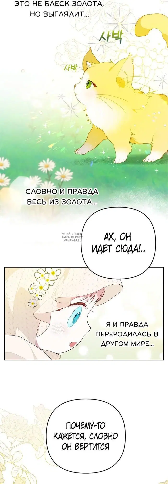 Page 25.000