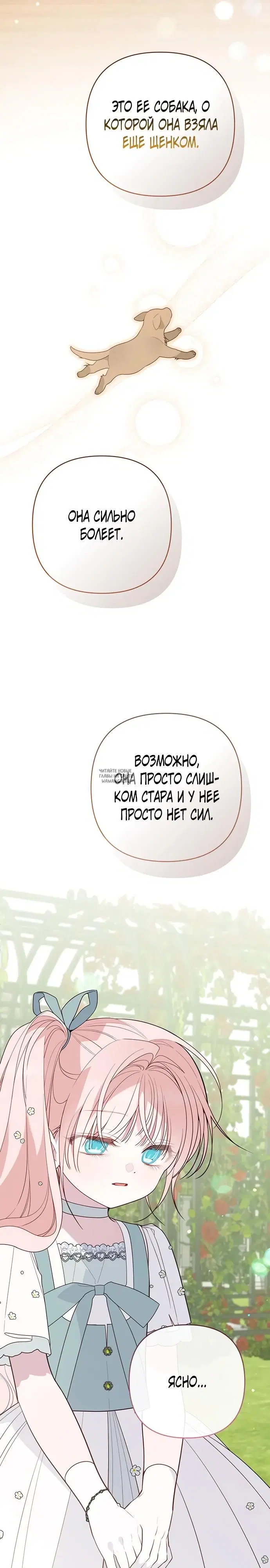 Page 25.000