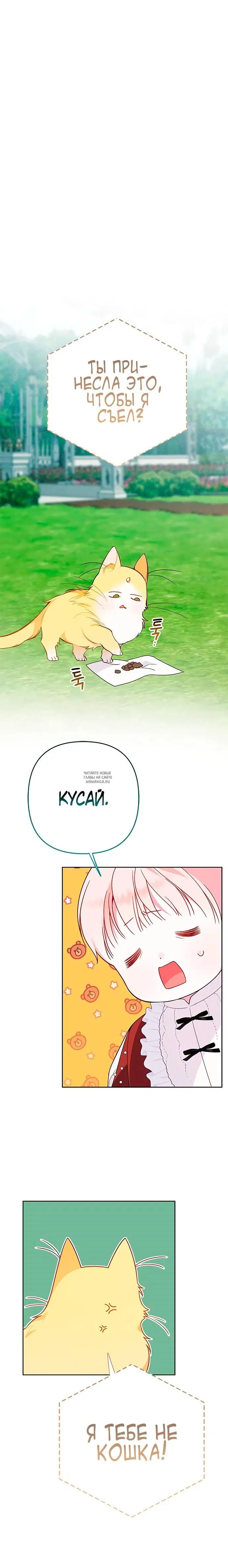 Page 20.000
