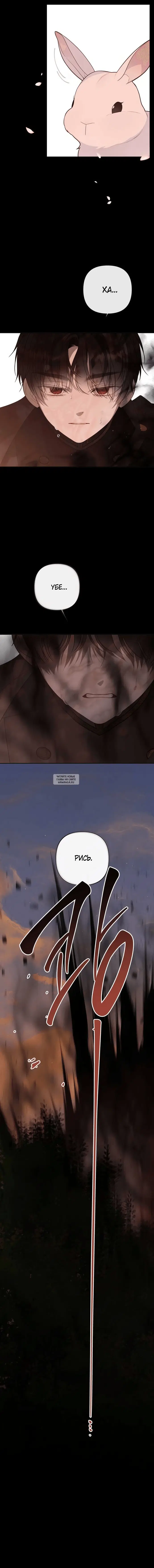 Page 21.000