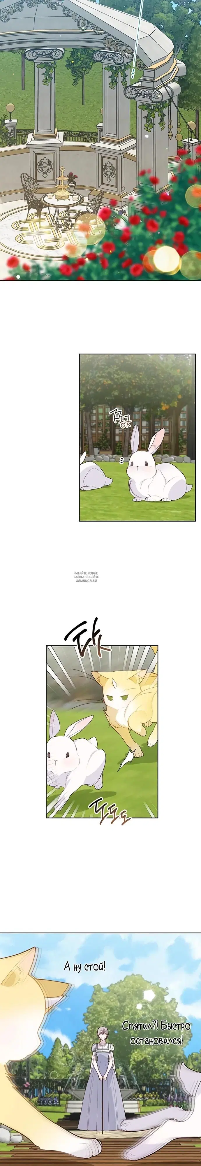 Page 22.000