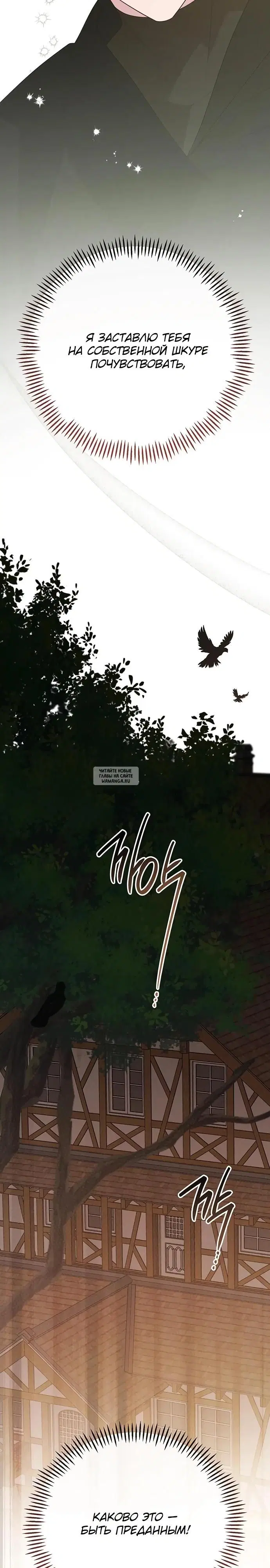 Page 36.000