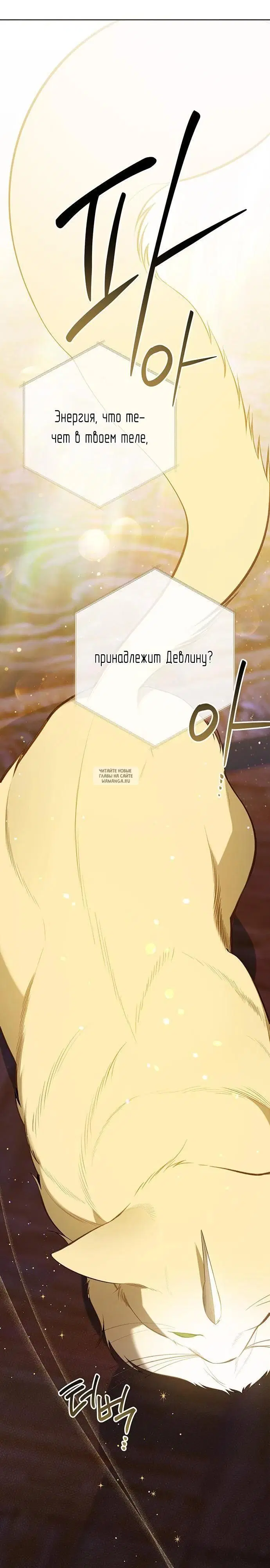 Page 36.000