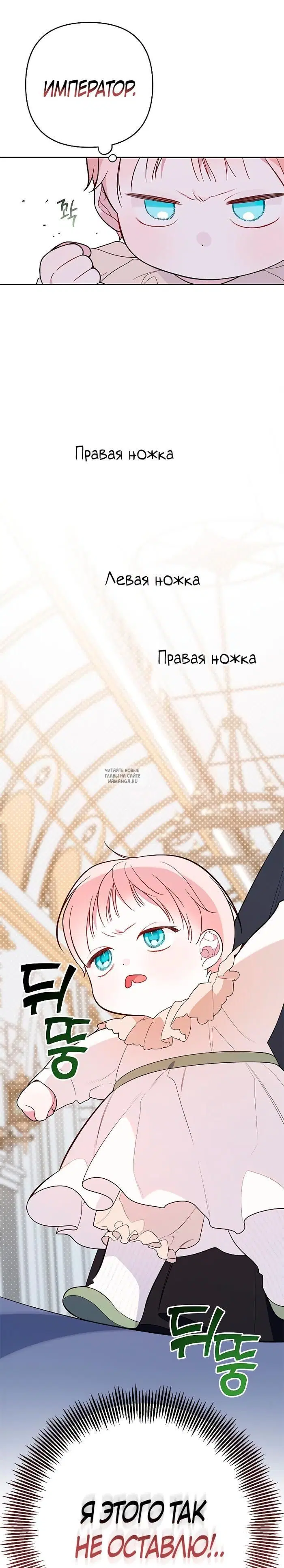 Page 31.000