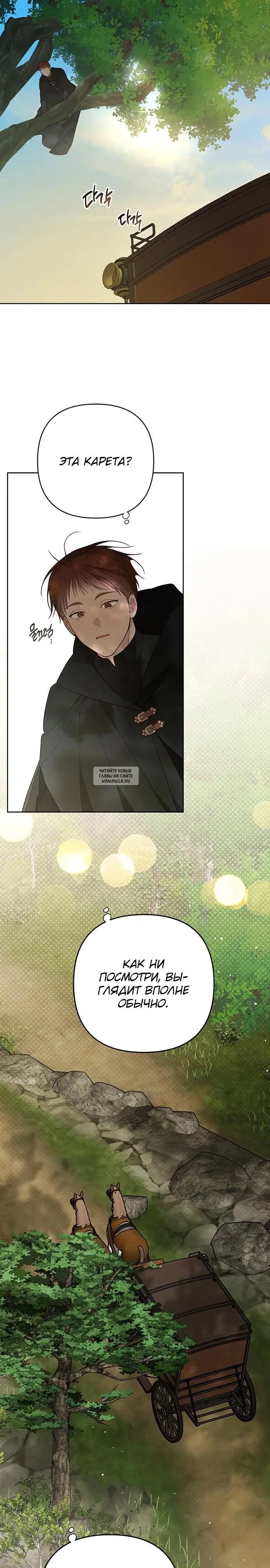 Page 31.000
