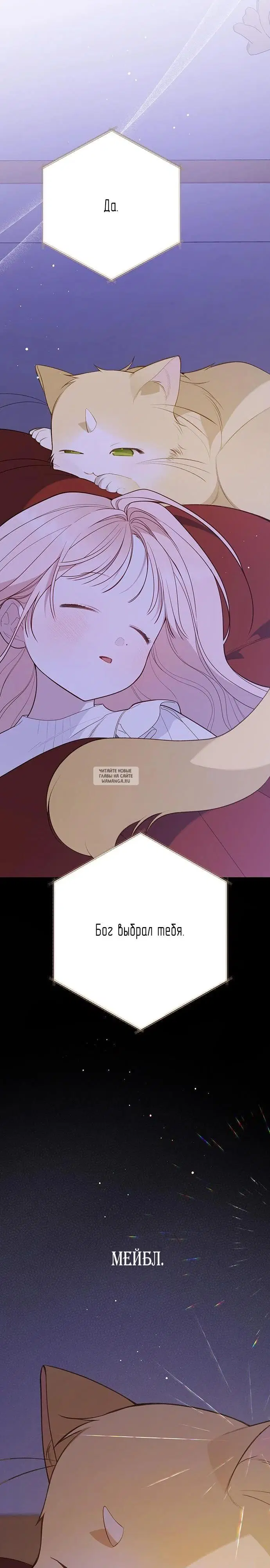 Page 31.000