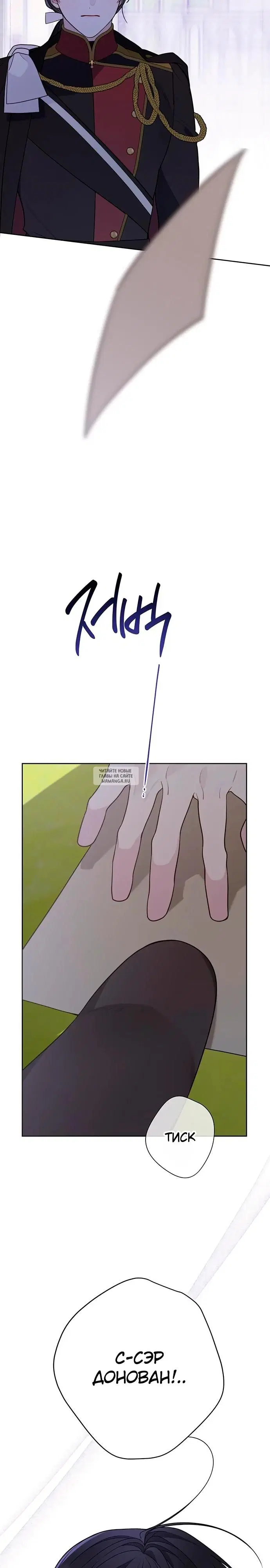 Page 31.000