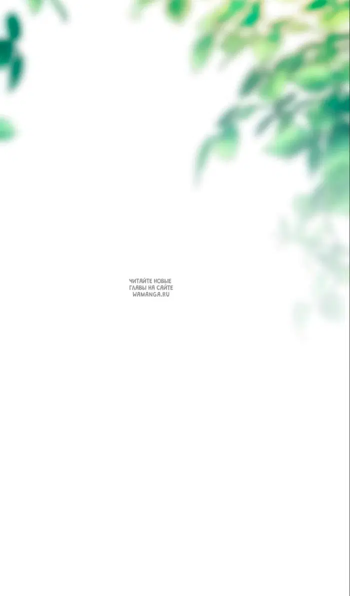Page 46.000