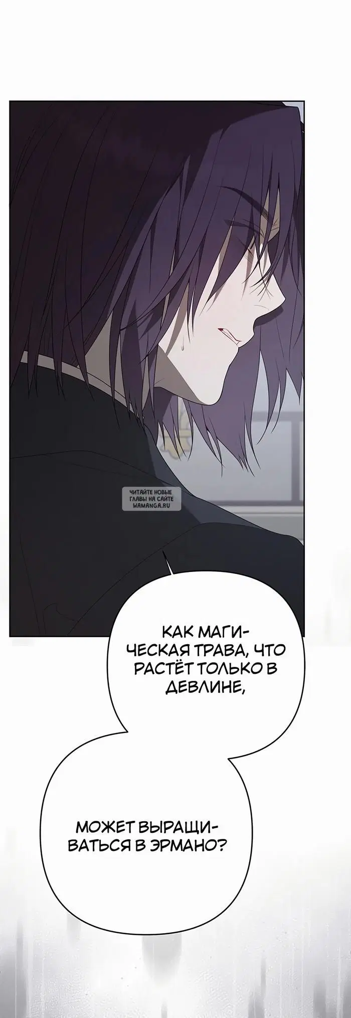 Page 53.000