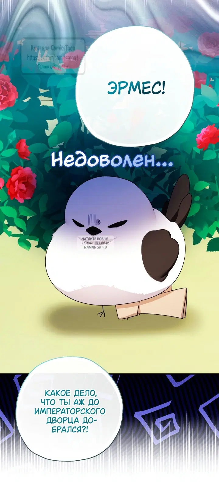 Page 34.000