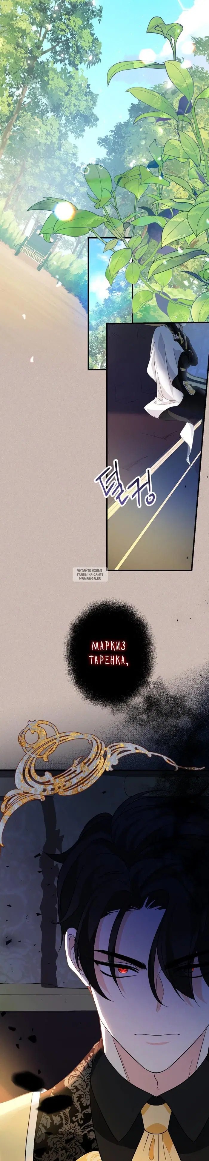 Page 41.000