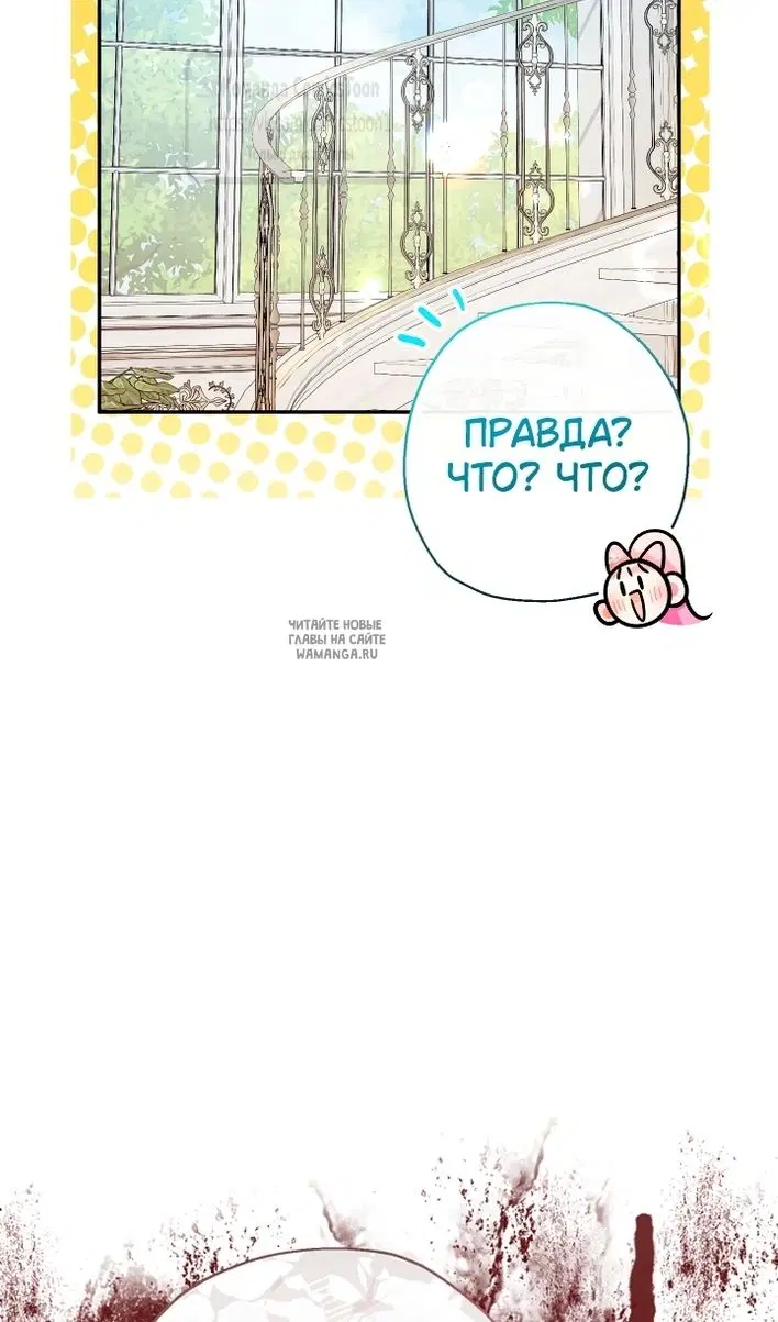 Page 61.000
