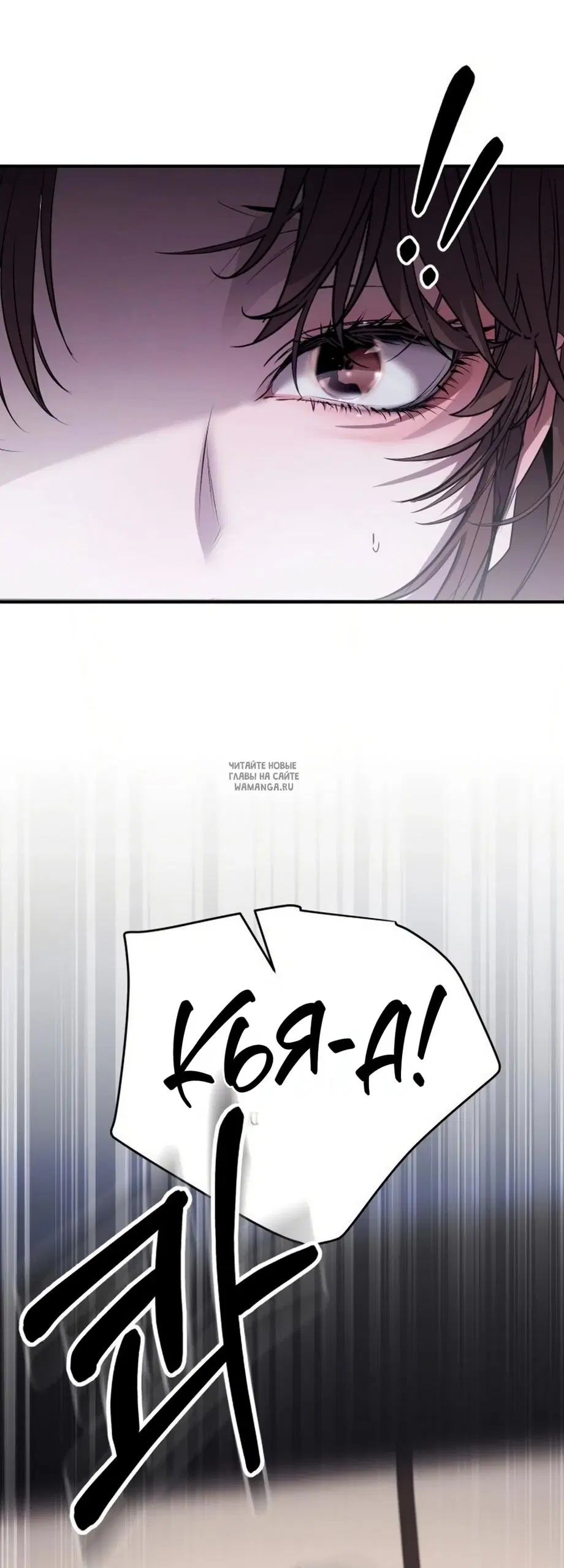 Page 53.000