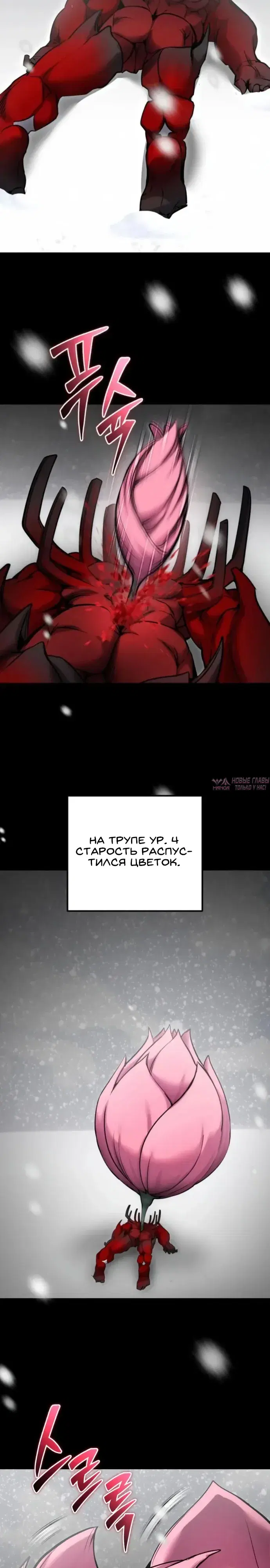 Page 31.000