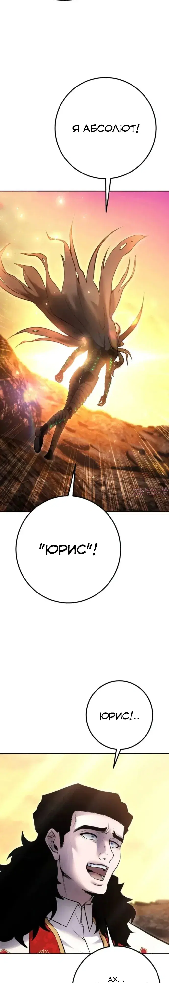 Page 31.000