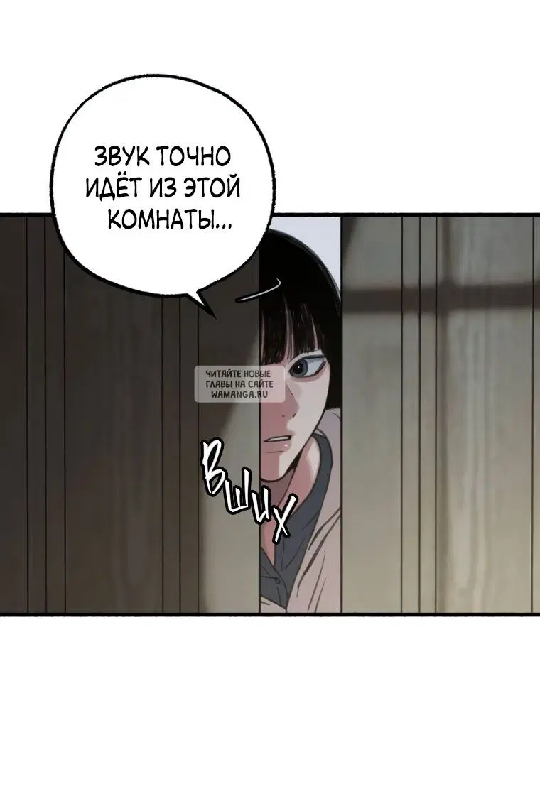 Page 51.000