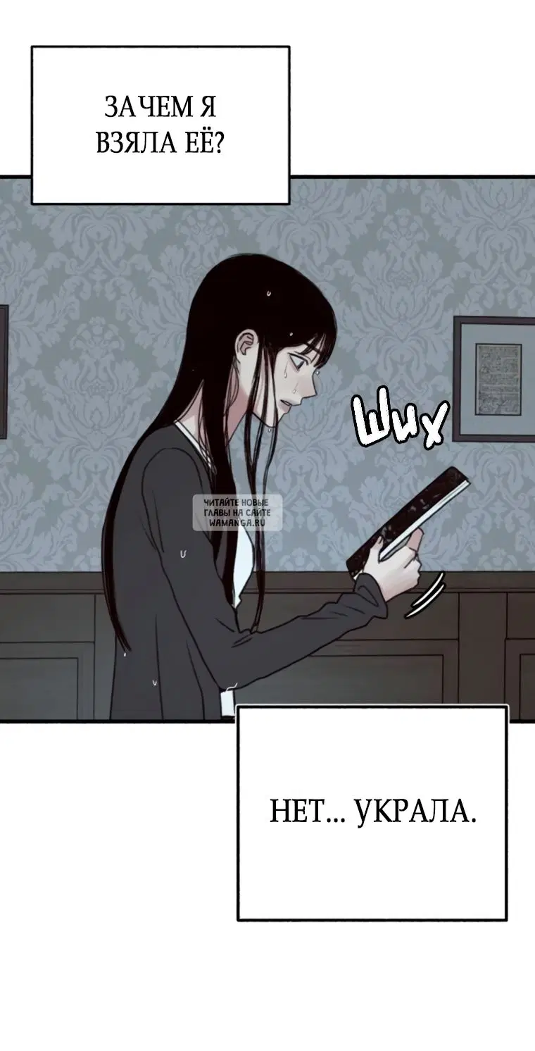 Page 51.000