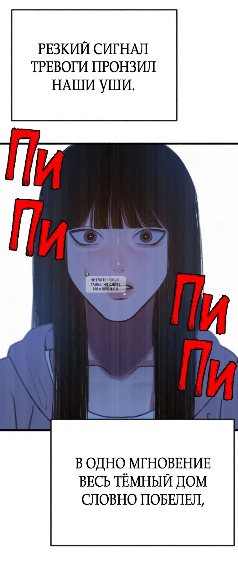 Page 53.000