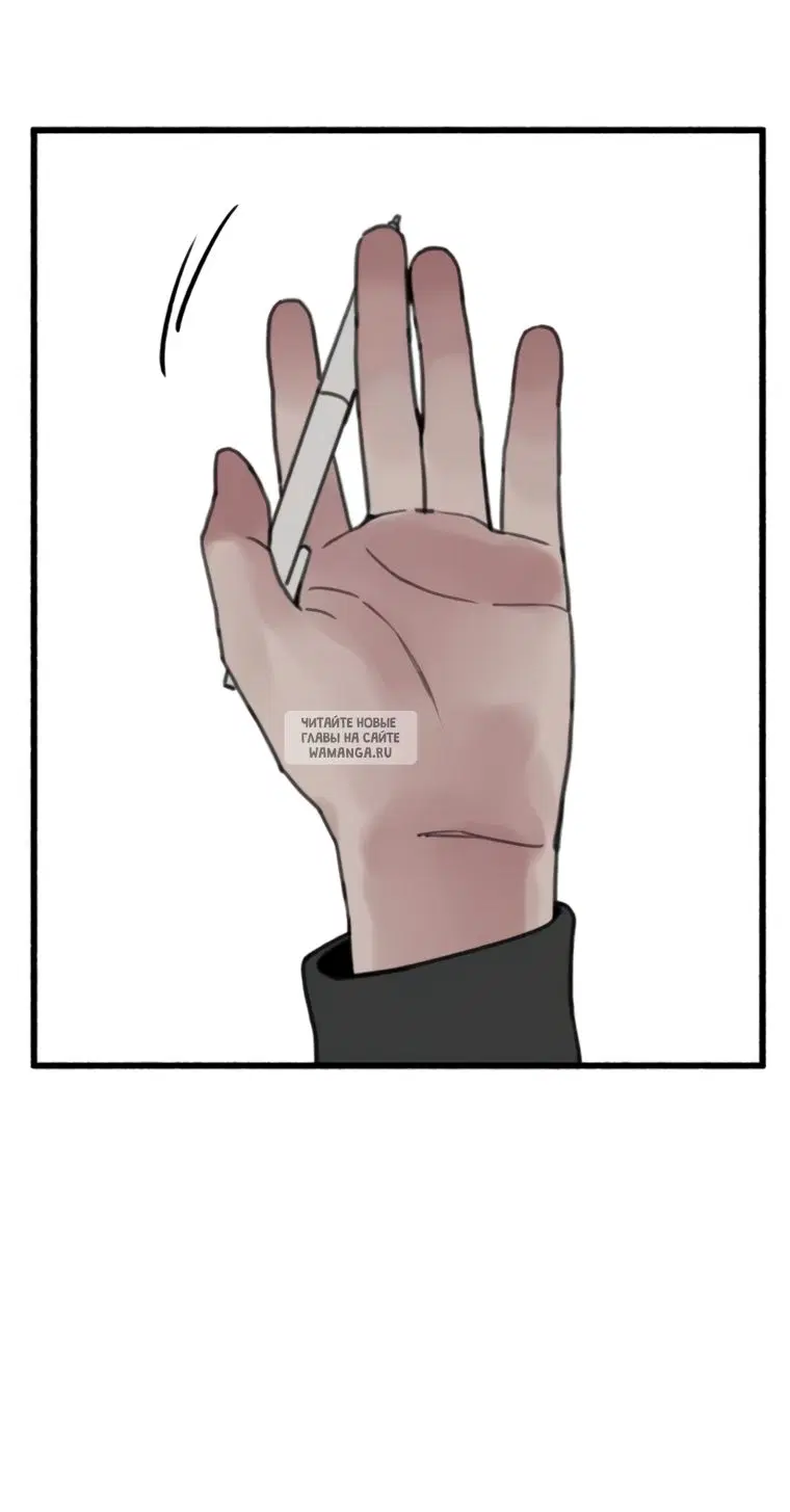 Page 81.000