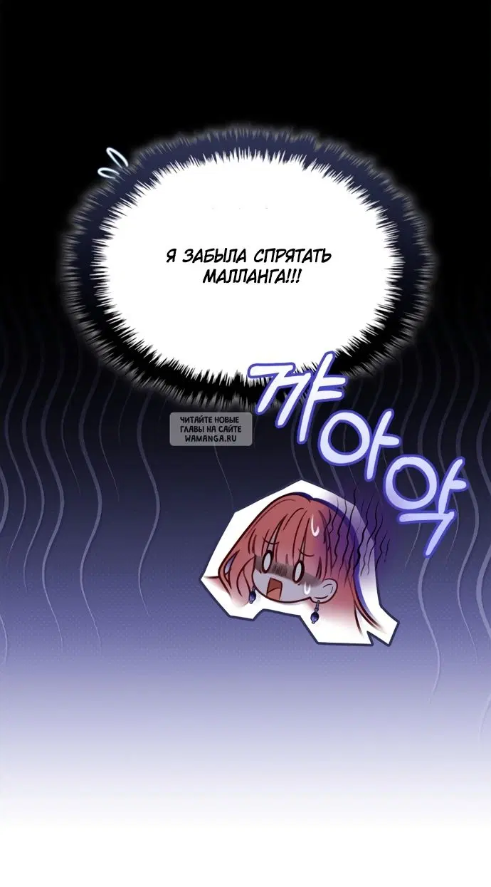 Page 44.000